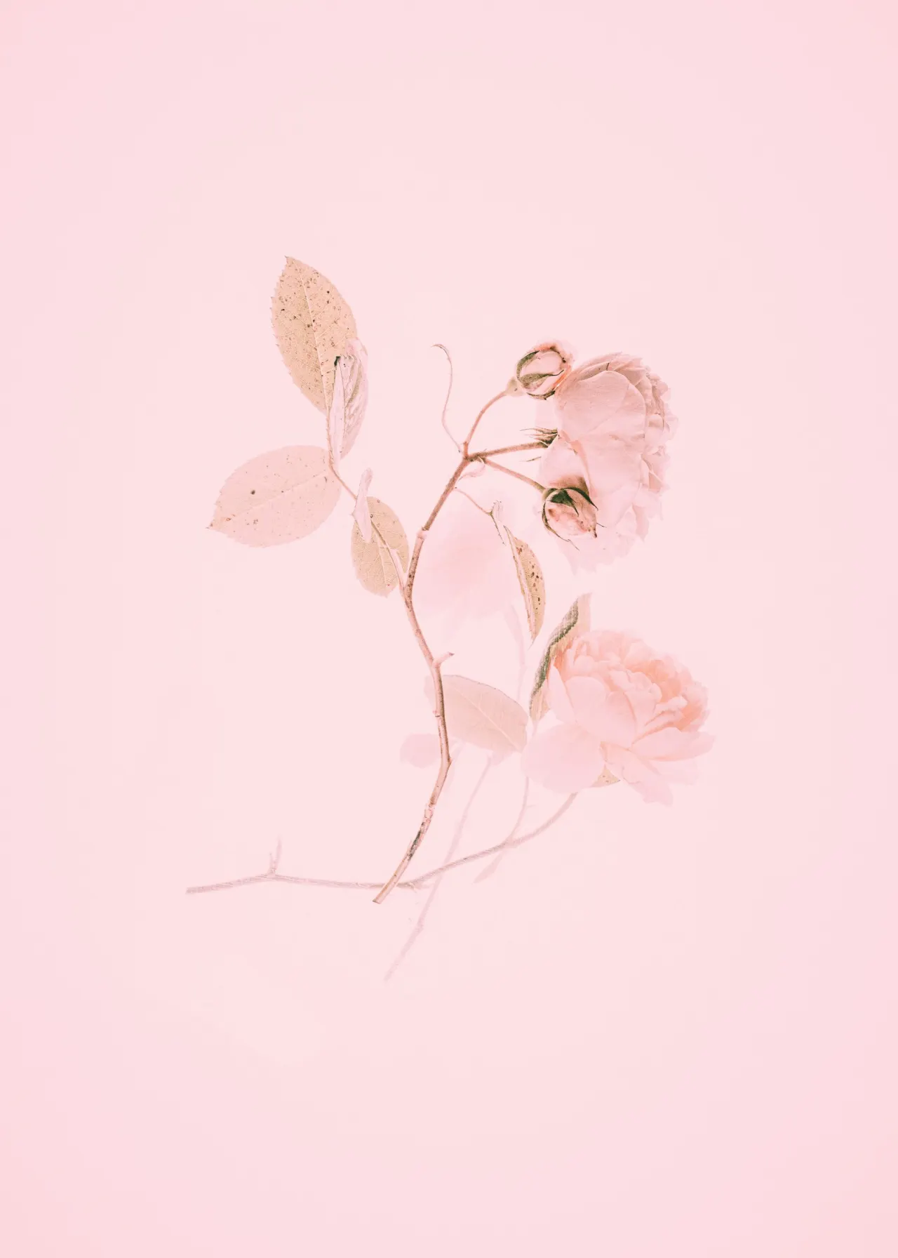 annie spratt HB Kf9WLy 0 unsplash scaled