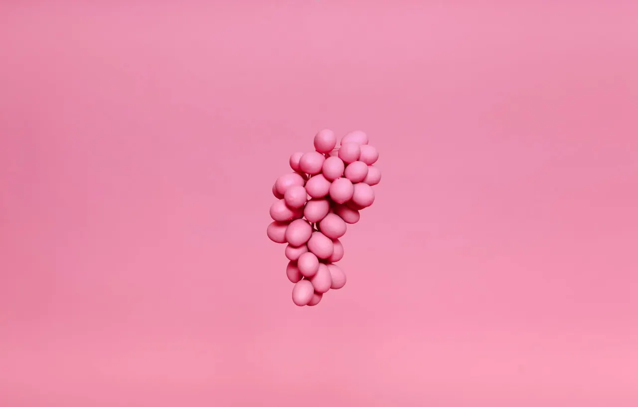 alex gruber pz hAv6ER7c unsplash scaled
